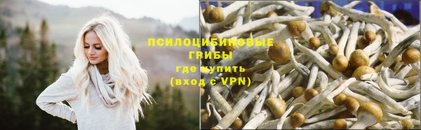 гидропоника Ельня