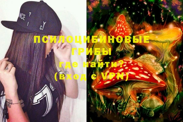 спайс Елизово