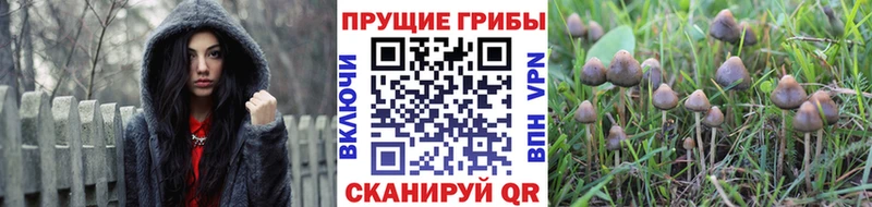 Псилоцибиновые грибы мухоморы  Хвалынск 